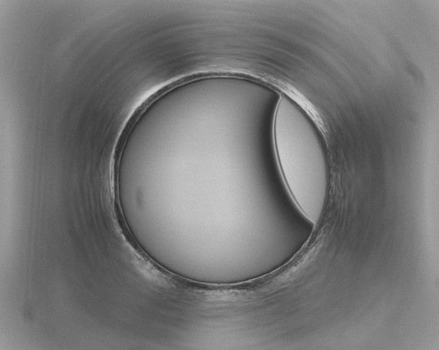 X0000116660988200912141023