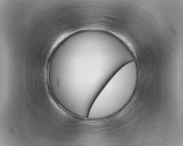 X0000116660998200912141023