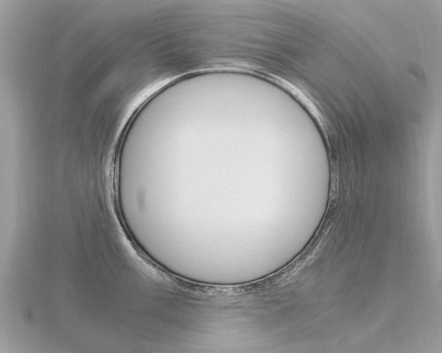 X0000116661003200912141023
