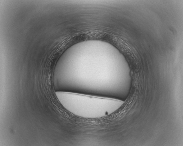X0000116661010200912141022