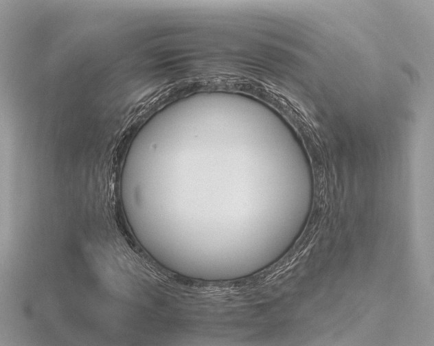 X0000116661013200912141022