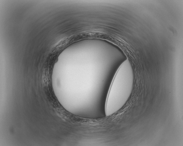 X0000116661014200912141022