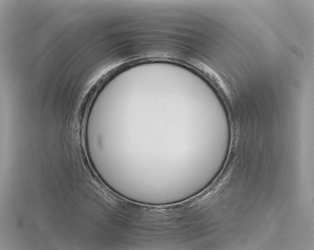 X0000116661019200912141022