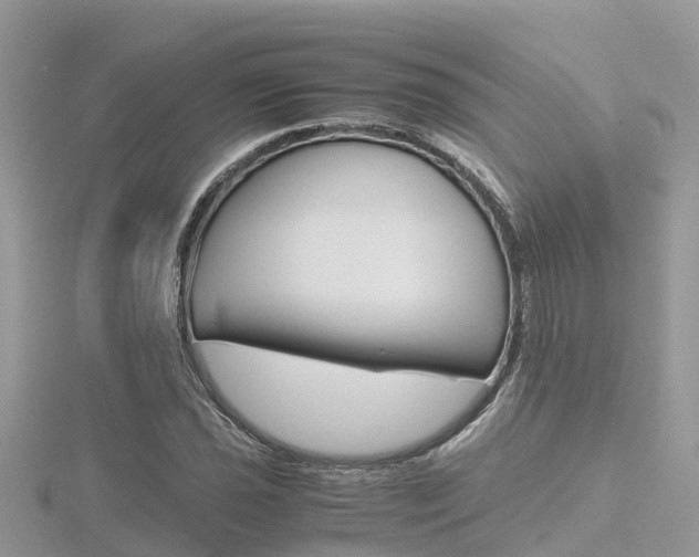 X0000116661021200912141022