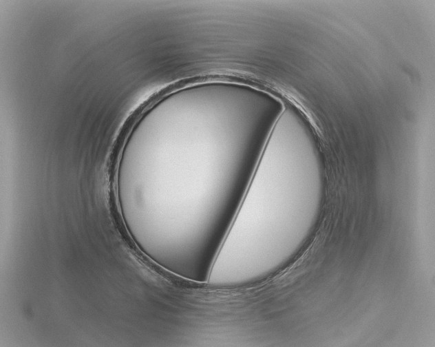 X0000116661024200912141022