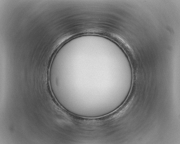 X0000116661025200912141022