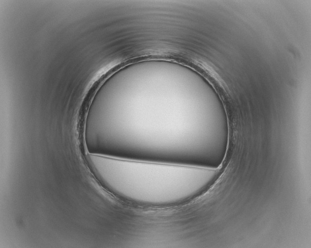 X0000116661026200912141022