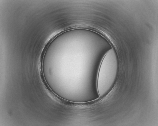 X0000116661034200912141022