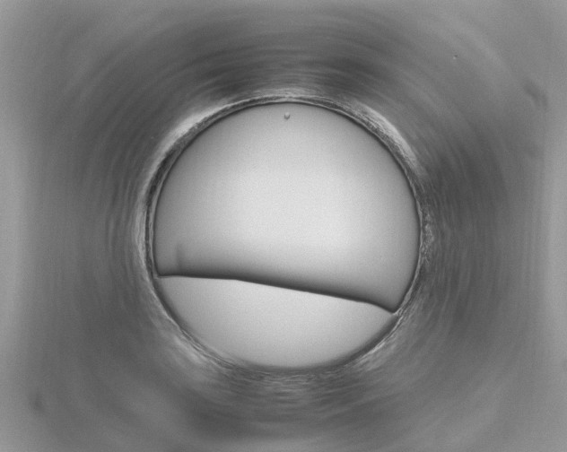 X0000116661035200912141022