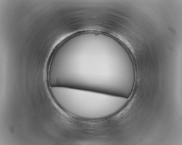X0000116661037200912141022
