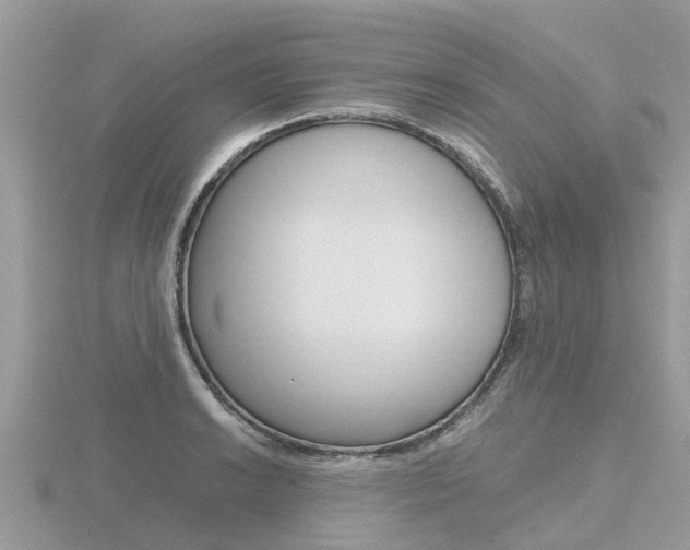 X0000116661038200912141022