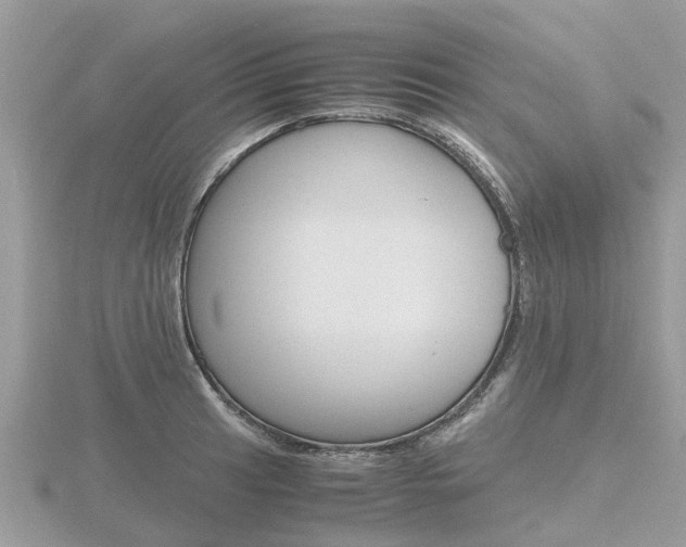 X0000116661041200912141022