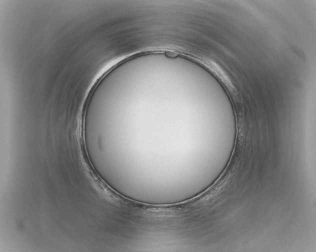 X0000116661044200912141022