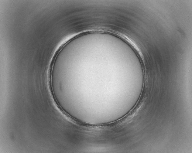 X0000116661045200912141022