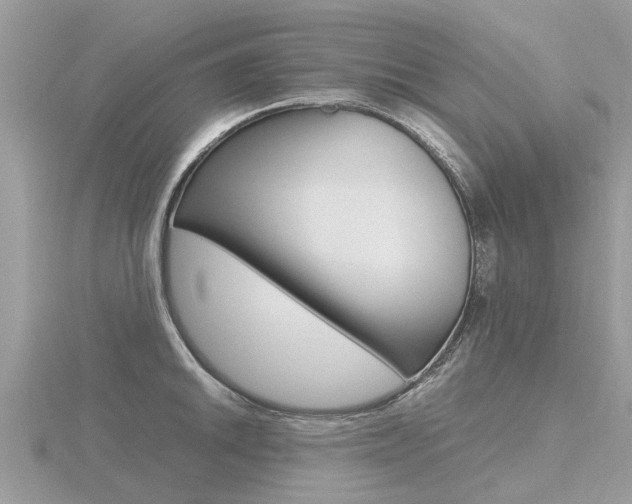 X0000116661046200912141022