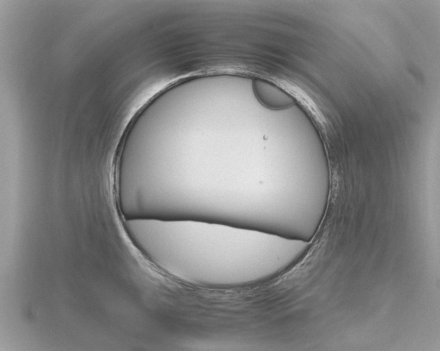 X0000116661047200912141022