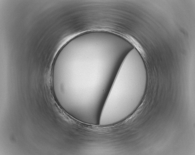 X0000116661052200912141022