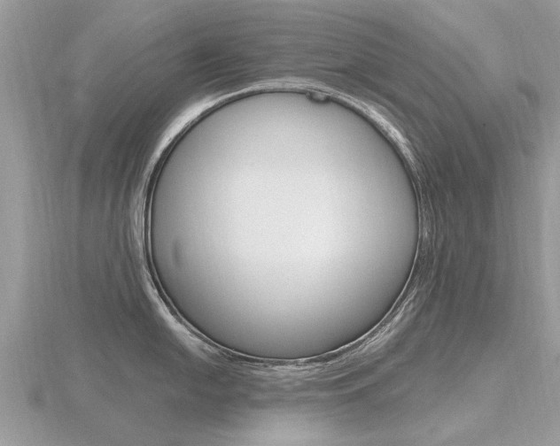 X0000116661054200912141023
