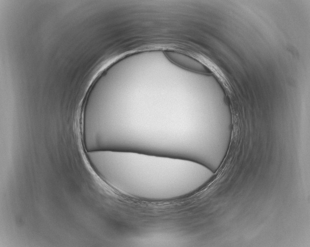 X0000116661055200912141023