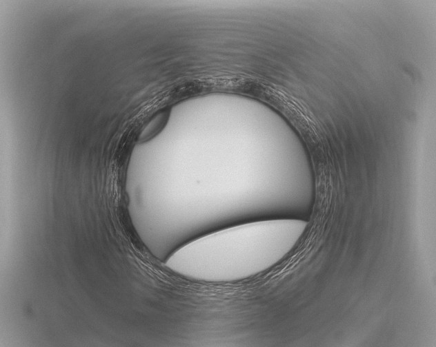 X0000116661058200912141022