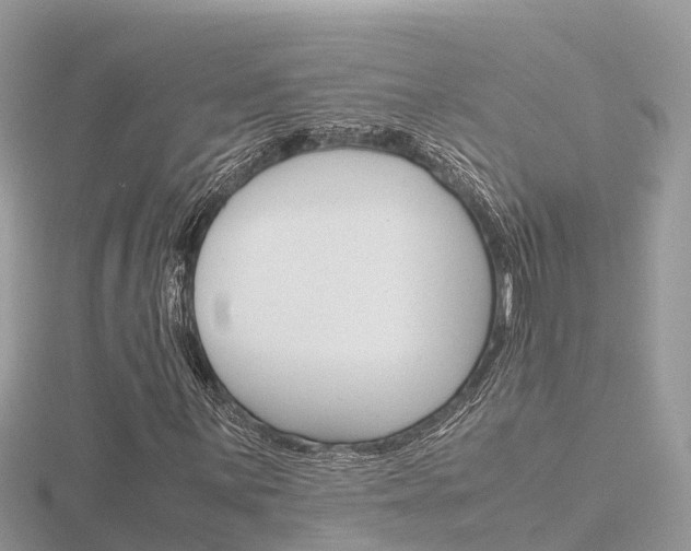 X0000116661059200912141022
