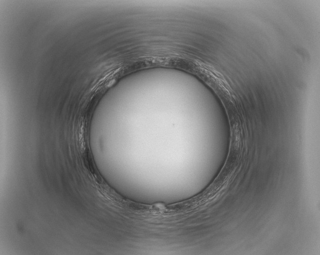 X0000116661060200912141022