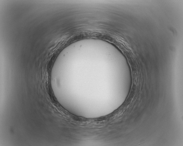 X0000116661061200912141022