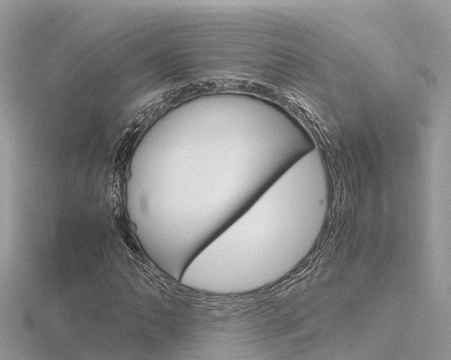 X0000116661062200912141022