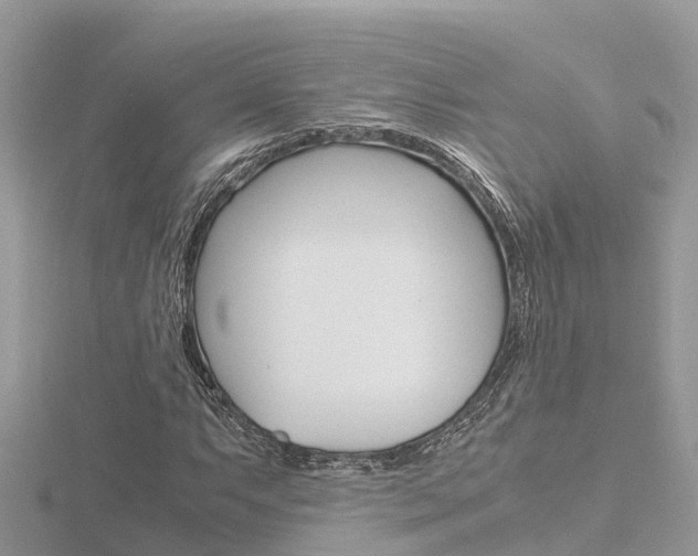 X0000116661063200912141022