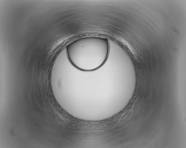 X0000116661064200912141022