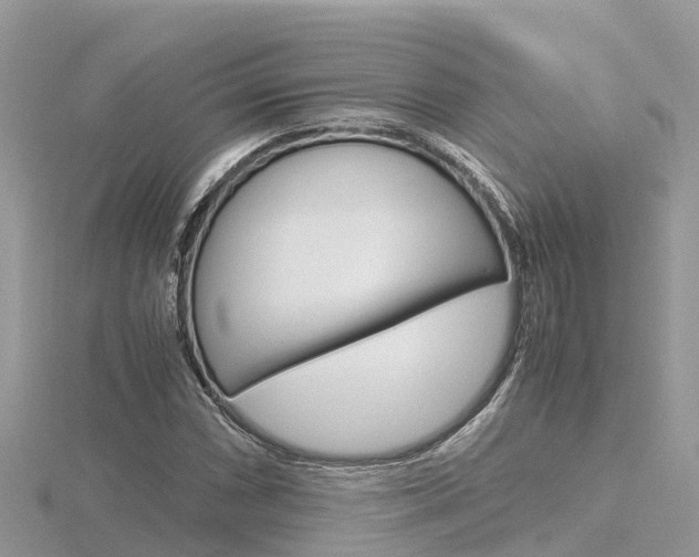 X0000116661066200912141022