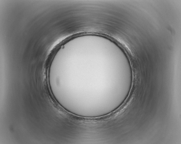 X0000116661070200912141022