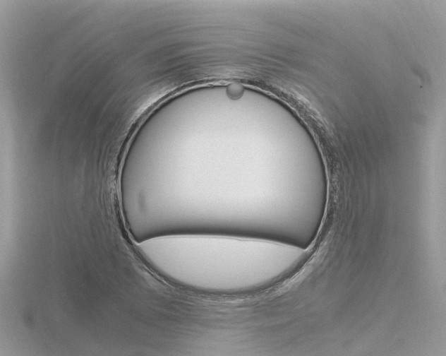 X0000116661073200912141022