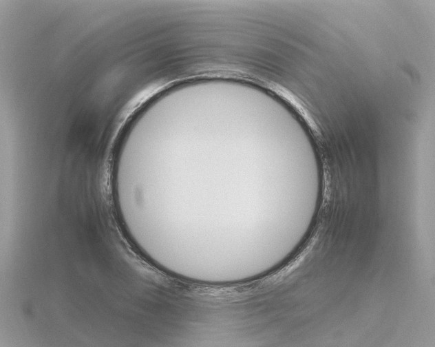 X0000116661074200912141022