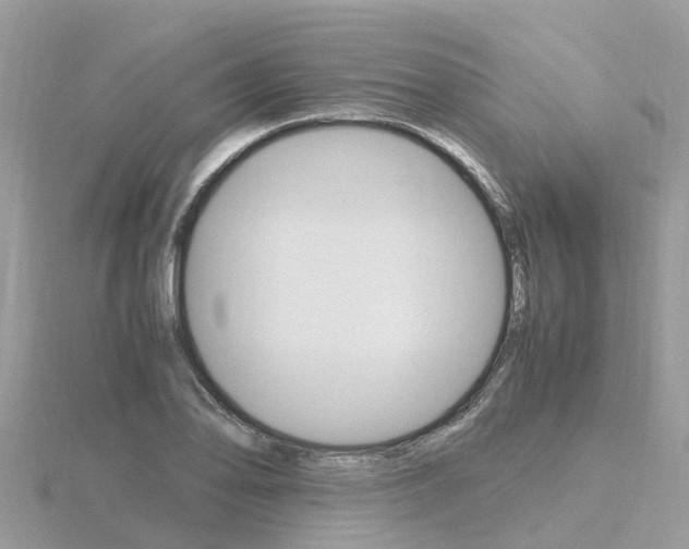 X0000116661078200912141022