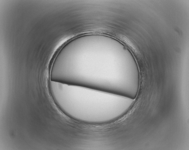 X0000116661079200912141022