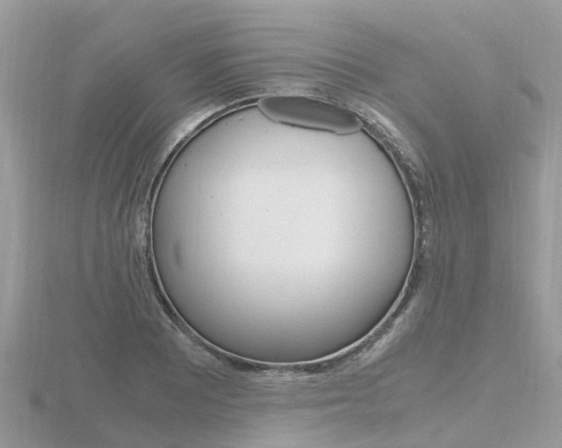 X0000116661081200912141022