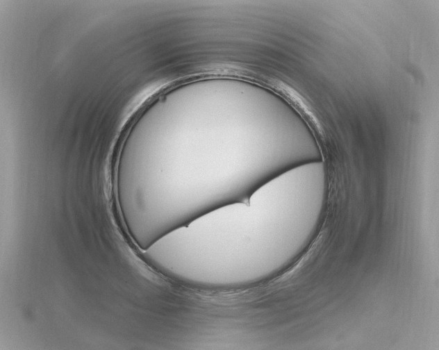 X0000116661082200912141021