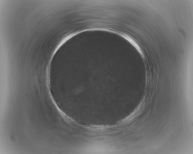 X0000116661101200912141021