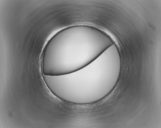 X0000116661102200912141021