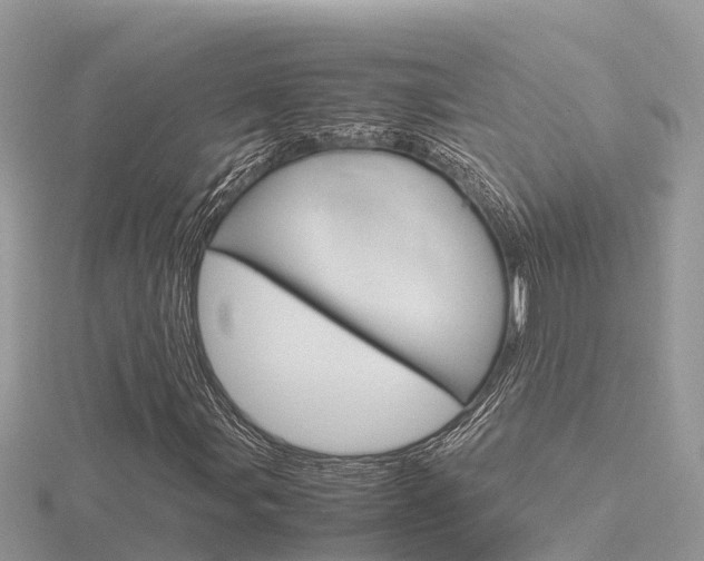 X0000116661107200912141021