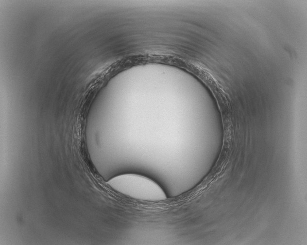 X0000116661110200912141021