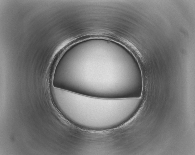 X0000116661114200912141021