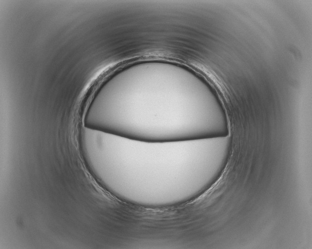 X0000116661115200912141021