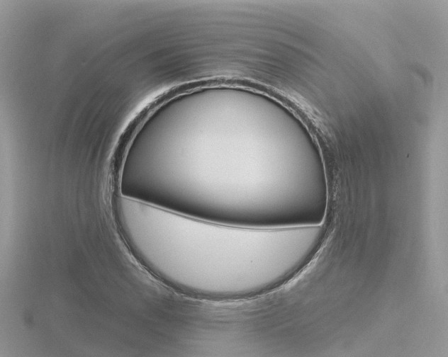 X0000116661118200912141021