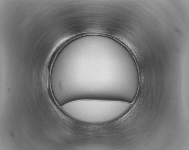 X0000116661123200912141021