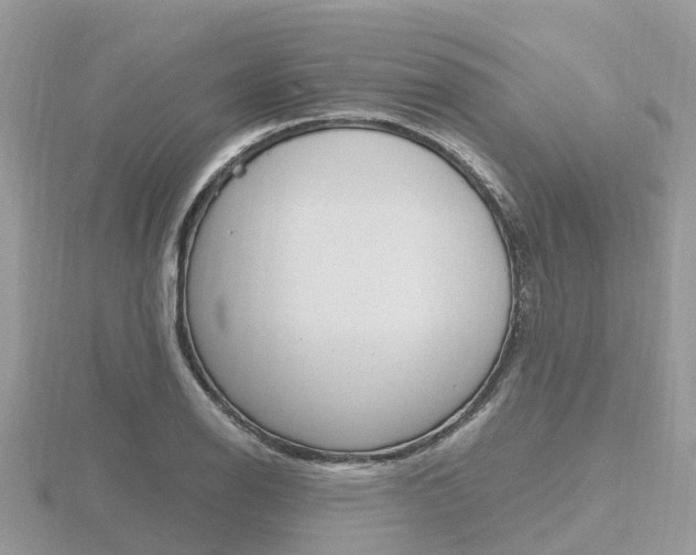 X0000116661126200912141021