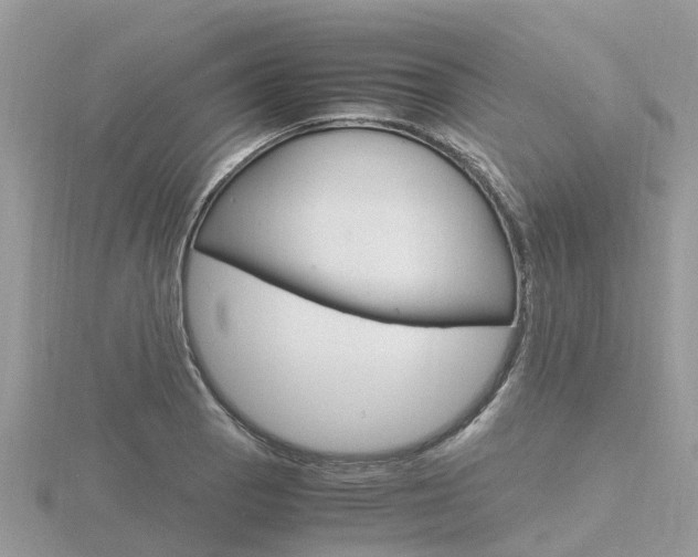 X0000116661129200912141021