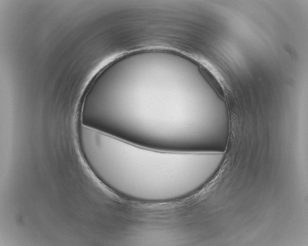 X0000116661142200912141021