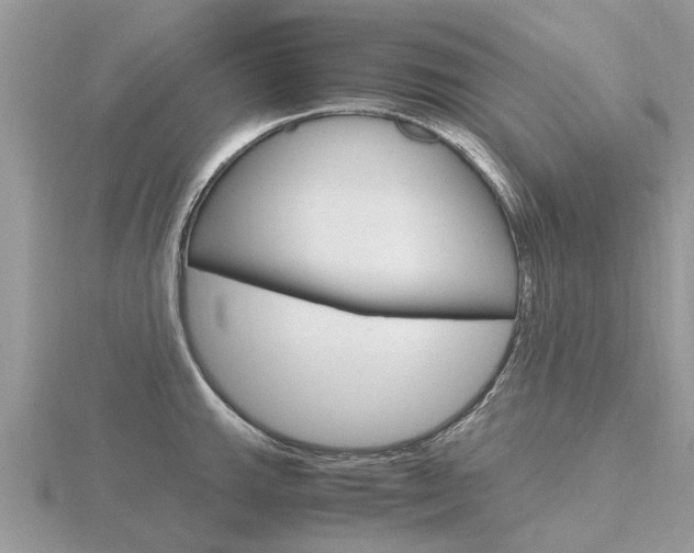 X0000116661143200912141021